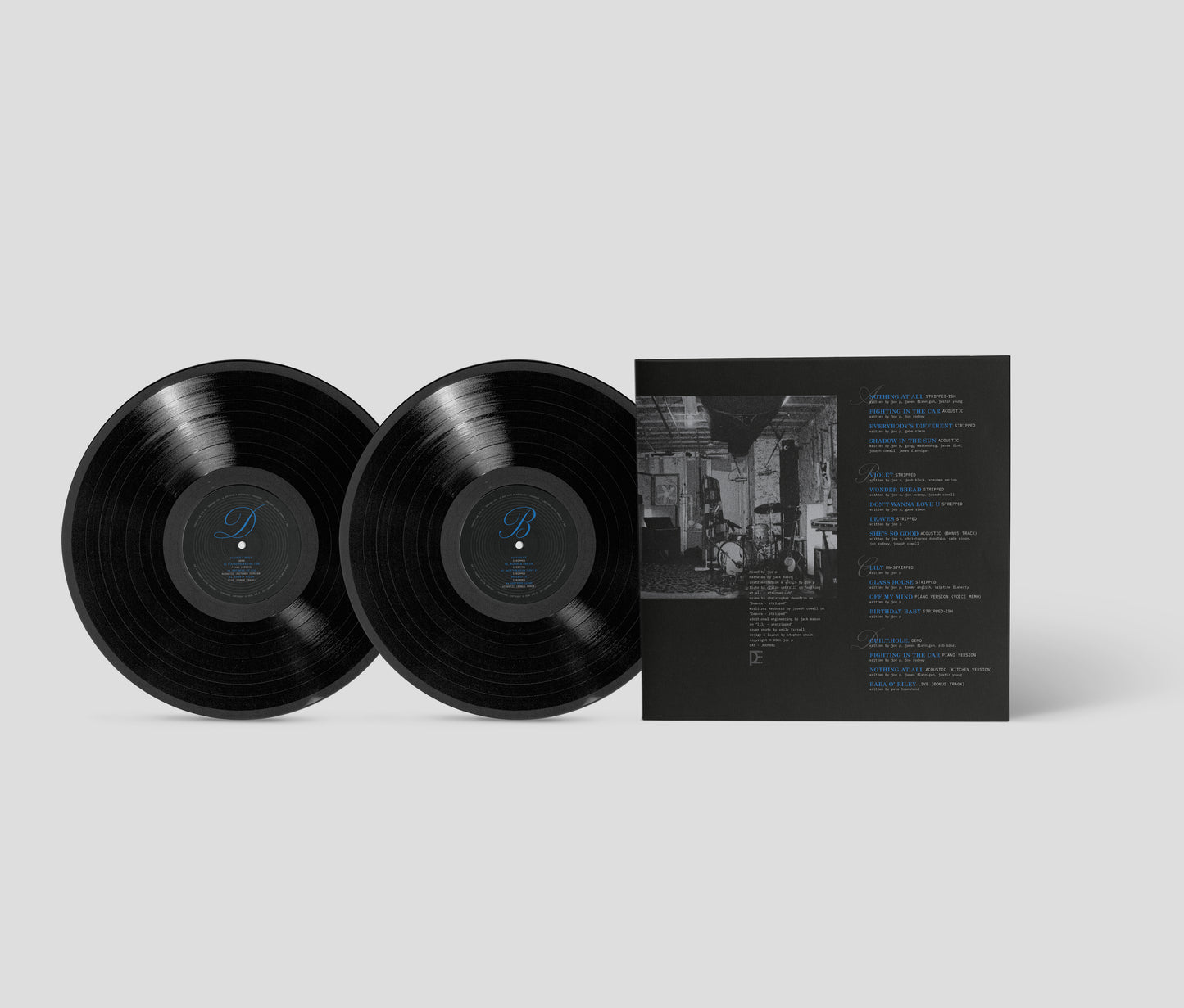 PRE-ORDER "Garden State Vampire" Stripped Double-LP Vinyl