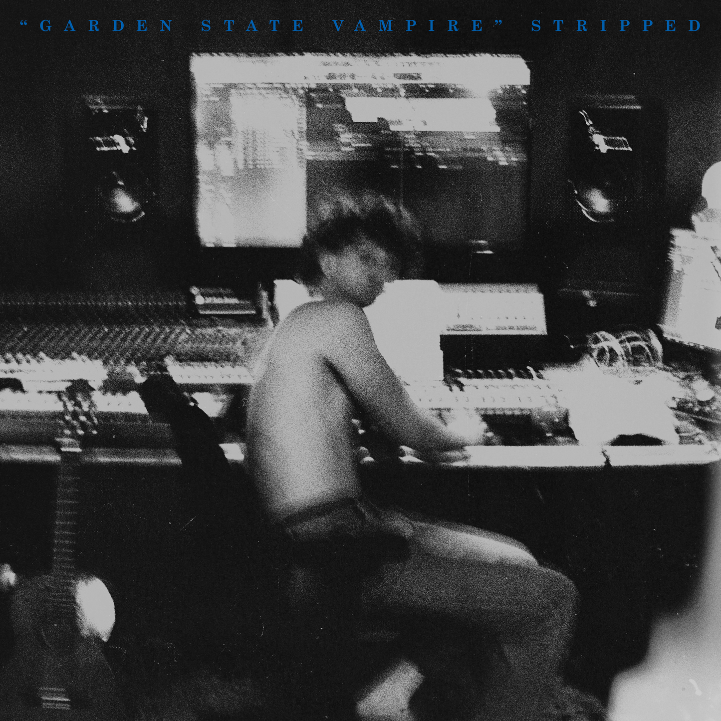 PRE-ORDER "Garden State Vampire" Stripped Double-LP Vinyl